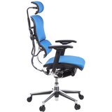 MID.YOU Pisarniški Stol Ergohuman, Modra | Shoptok.si