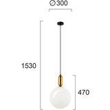  Luster na sajli NEPTUNE 1xE27/40W/230V zlatna | Eponuda.com