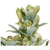 Ixia Umetna rastlina (višina 110 cm) Orchid – | Shoptok.si