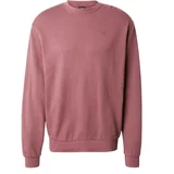 Iriedaily Sweater majica 'Waterkeeper' sivkasto ljubičasta (mauve)