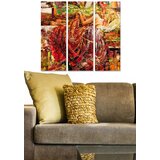 Wallity Set slika MDF42042493, 3 dijela | Eponuda.ba