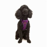 Paws & Whiskers Am za pse Air Mesh Purple 2XS | Eponuda.com