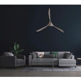 Livetastic Stenska Dekoracija Propeller | Shoptok.si