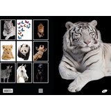  Zvezek a4 mp karo 1x1 cm elisa živali 52-listni ELISA ZVEZKI Cene