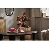 WoodWick Crystal Ginger mirisna svijeća s drvenim fitiljem 275 g | shoptok.hr