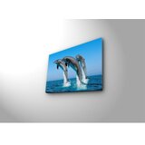 WALLXPERT Dekorativna slika 3040C 28 | Eponuda.com