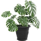  Saksije za biljke 24 pcs Crna Ø 22 x 18 cm Plastika | shoptok.hr