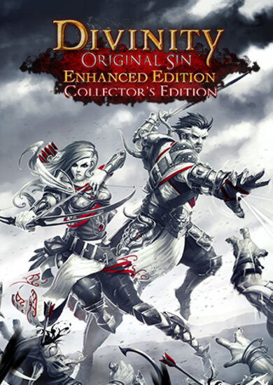  divinity: original sin - enhanced edition collector's edition (pc) gog key global | ePonuda.com