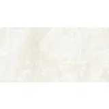 RESILIO ONYX 60x120