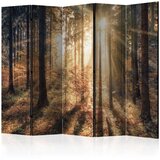 Paravan u 5 dijelova - Autumnal Forest II [Room Dividers] 225x172 Cijene