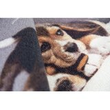  Otirač Digital pets 44x75 cm, sort | shoptok.hr
