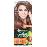 Garnier Color Naturals trajna barva za lase z negovalnimi olji 40 ml Odtenek 6.41 sweet amber za ženske Cene