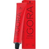Schwarzkopf igora Royal - 3-68 temno rjava čokoladno rdeča, 60 ml | Shoptok.si