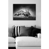 Wallity Slika 223257292, 50x70 cm | ePonuda.com