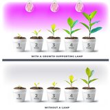  LED sijalica za rast biljaka PLANTY E27/8W/230V 1200K | Eponuda.com