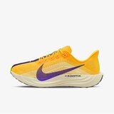 Nike Pegasus plus | Eponuda.com