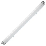 UV neon cev 10W za zamku za insekte IKC-T8-10