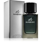 Burberry Mr. parfemska voda za muškarce 100 ml | shoptok.hr