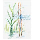  BOJE DRVENE-VODENE 12BOJA METALNA KUTIJA AQUARELL DESIGN JOURNEY STAEDTLER 14610C M12 | Shoptok.si