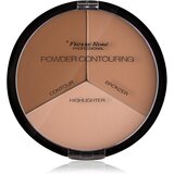 Pierre René Powder Contouring paleta za konture obraza 23 g Cene