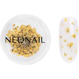 NeoNail Dried Flowers sušen cvet za nohte odtenek 07 Yellow 1 kos | Shoptok.si