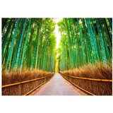  Samoljepljiva foto tapeta - Bamboo Forest 441x315 | shoptok.hr