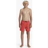 Quiksilver Boys' shorts swimsuit EVERYDAY VERT VOLLEY | Shoptok.si