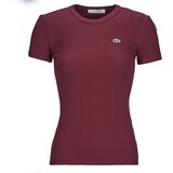 Lacoste Majice s kratkimi rokavi TF5538-YUP Bordo | Shoptok.si