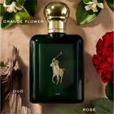 Polo Ralph Lauren Polo Oud 125 ml parfumska voda za moške | Shoptok.si