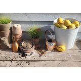 Esschert Design Zalivalka - zlata | Shoptok.si