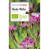 Samen Maier Binkoštni nagelj-divja cvetlica | Shoptok.si