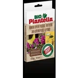 Rumene lepljive ploščice v obliki metulja Bio Plantella (10 kosov)