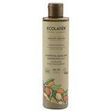 ECOLATIER šampon-balzam za kosu sa vitaminom e i arganovim uljem 2 u 1 organic argana cene
