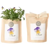 Grow Bag "Mačehe" - 1 k.