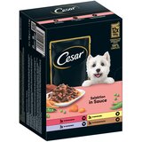 Cesar Selektion meso in zelenjava v omaki - 12 x 100 g Cene