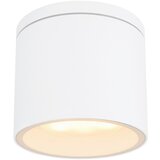 Globo ZUNANJA STROPNA SVETILKA Alcala 10,8/9,6 cm | Shoptok.si