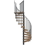Minka Spiralno stopnišče Paris (Premer: 140 cm, Barva stopnice: Bukev, Višina nadstropja: 309 cm, Barva kovine: Siva) | Shoptok.si