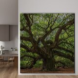 PROFILES AND MORE Akustični panel Stablo (2.400 x 2.253 x 19 mm) | shoptok.hr