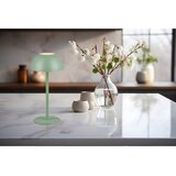 Tri O Stolna lampa LED Picardo Pistacio, 1,7 W, 240 lm, 3000 K | shoptok.hr