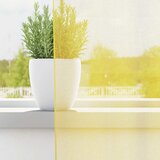 Voile zavjese s ušicama 2 kom žute | Shoptok.si