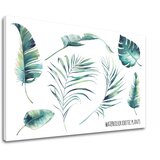  Slike na platnu sa tekstom watercolor exotic plants (moderne) Cene