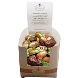  Čokoladica Assortimento Fantasie AutunalI 1-455 | Eponuda.ba