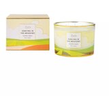 Widdop & Co. The Wax Company - Sveća - The Wax Company, Dancing In The Meadows, 3 Wick, 369g | Eponuda.com