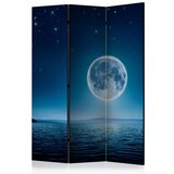  Paravan u 3 dijela - Moonlit night [Room Dividers] 135x172 Cijene