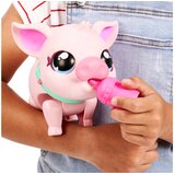 Little live pets Interaktivna svinja COZY DOZY PIGGLY | Eponuda.ba