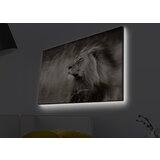 Opviq slika na platnu sa LED osvetljenjem 45x70cm | ePonuda.com