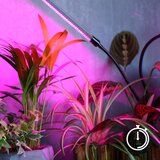  LED prigušiva stona lampa za uzgoj biljaka VITARO 4xLED/10W/230V crna | Eponuda.com