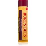 Burt's Bees Burt's Trio Tin poklon set za usne za žene III. | shoptok.hr