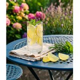 Orion Plastične kocke za hlađenje pića u setu 20 kom Lemon – | shoptok.hr