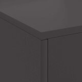 vidaXL Hladno valjano jeklo/Črna Hladno valjano jeklo 80 x 50 x 96 cm | Shoptok.si